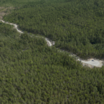 En nygjord skogsbilväg är anlagd i området Vargtjärnen där SCA har avverkningsanmält över 200 ha skog. Foto: Forskningsresan 2022.