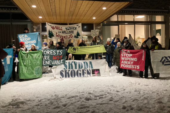 Demonstration outside the SCA’s headquarters in Sundsvall, Sweden. Photo: Fridays For Future.